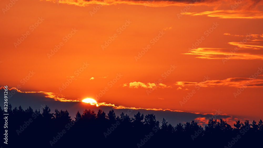 Summer sunrise or sunset on the field or forest. Summer landscape. Summer sunrise or sunset on the field or forest. Summer landscape.