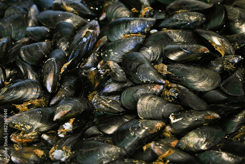 Fresh Mussels ready to cook as background