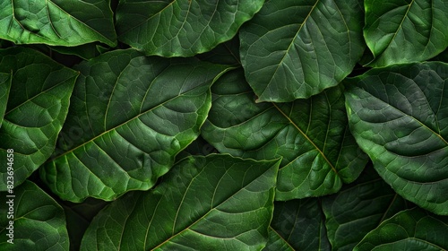 Close-up of a seamless leaf pattern in nature  showcasing green symmetry