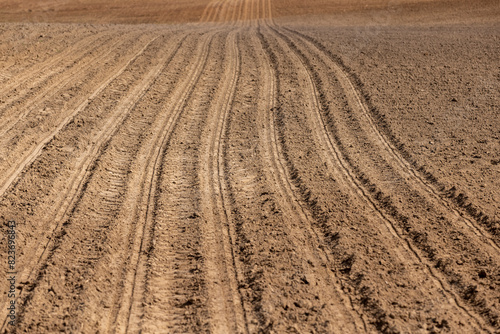 preparing the soil for planting plants in agriculture