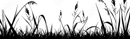 Background grass natural silhouette. Vector. AI generated illustration. © Gulafshan