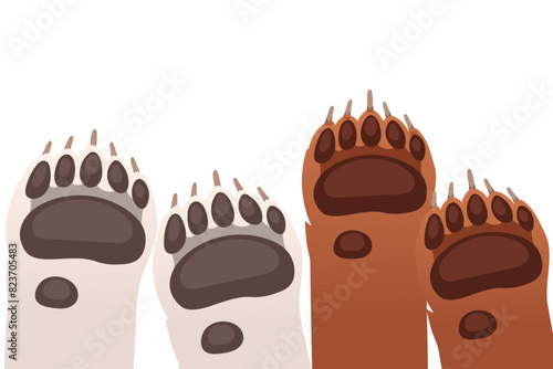 Animal paws in a row brown bear and white bear vector illustration isolated on white background