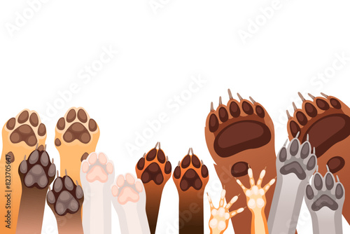 Animal paws in a row brown bear fox wolf and dog vector illustration isolated on white background
