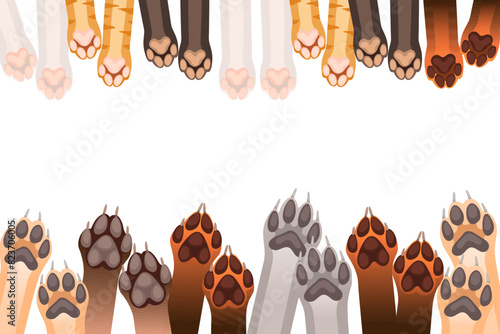 Animal paws in a row fox wolf and dog vector illustration isolated on white background photo