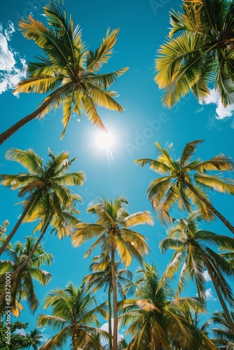 swaying tropical palm trees against a clear blue sky create a serene and tranquil summer paradise vacation setting