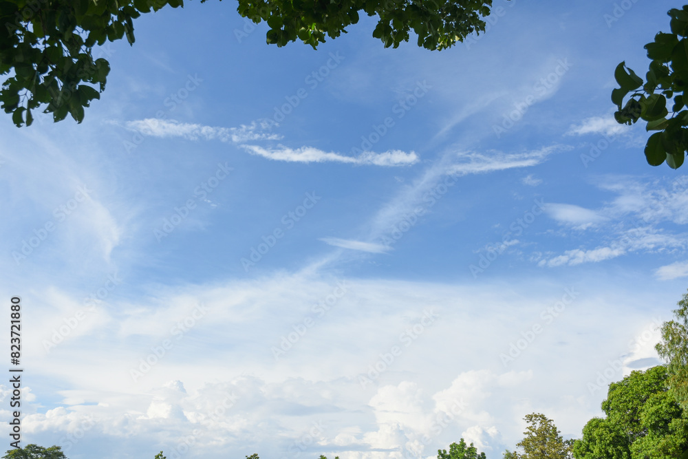 Green leaves frame sky background Green leaves frame sky background