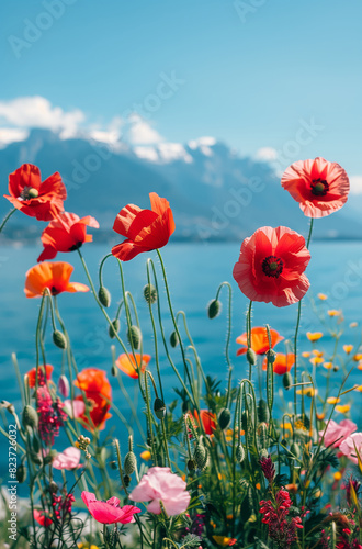 Poppies and wildflowers on the background of the lake and mountains