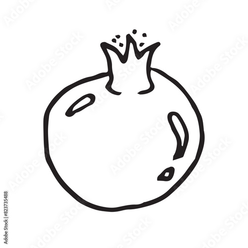 Pomegranate hand drawn vector illustration on isolated white background