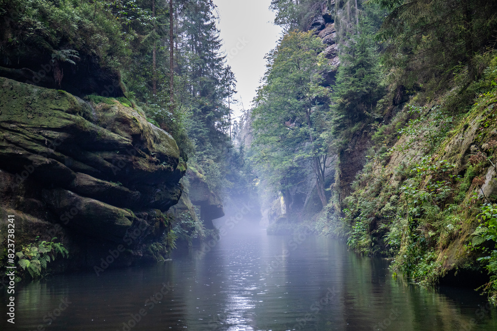 Pure nature, landscape shot in a gorge with a river. European forest in Hřensko, Kamnitzklamm, Bohemian Switzerland, Czech Republic Pure nature, landscape shot in a gorge with a river. European forest in Hřensko, Kamnitzklamm, Bohemian Switzerland, Czech Republic