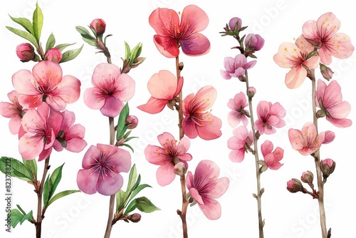 A series of pink flowers with green leaves. The flowers are arranged in a row and are of different sizes. Scene is one of beauty and serenity