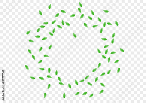 Green Vegetation Background Transparent Vector. Leaves Fresh Frame. Simple Texture. Greenish Vitality Design. Greenery Elegant.