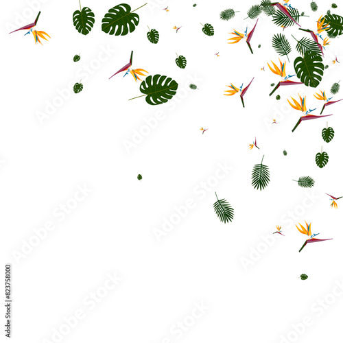 Green Foliage Background White Vector. Hibiscus Brazil Pattern. Orange Plant. Artwork Design. Light Green Retro Illustration.