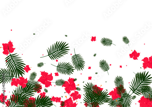 Red Monstera Background White Vector. Hibiscus Silhouette Backdrop. Green Plant. Holiday Texture. Orange Style Frame.