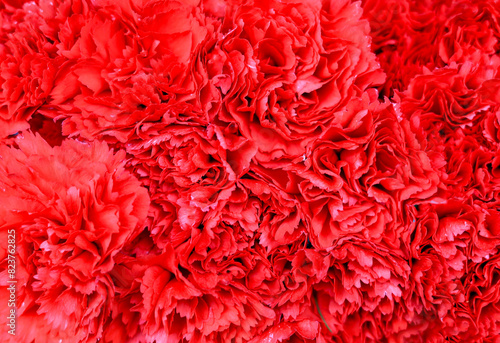 Fundo vermelho formado por cravos photo