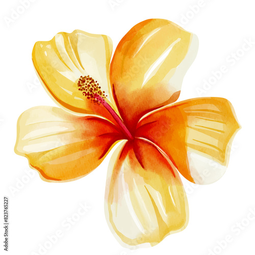 Watercolor tropical flower. Floral illustration. Exotic flower. Watercolor orchid