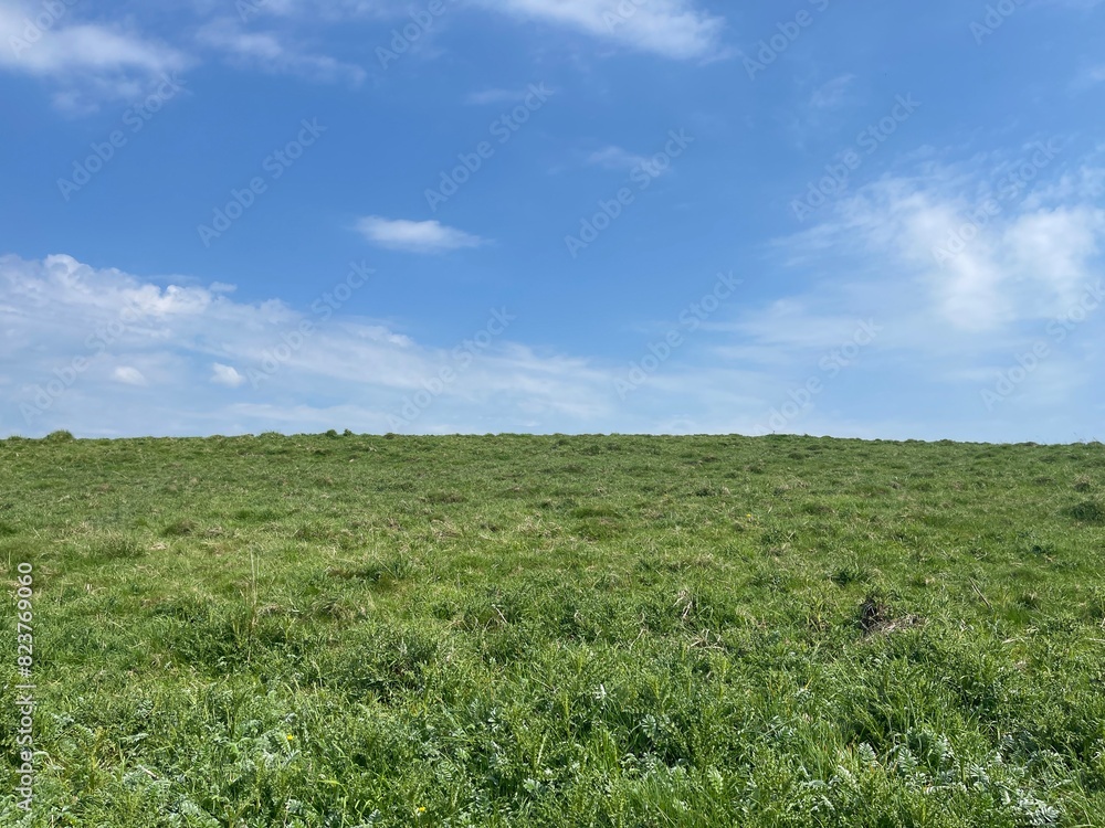 green grass and blue sky green grass and blue sky