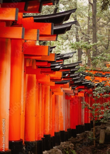Vermilion Passage: Fushimi Inari-Taisha's Torii Gate