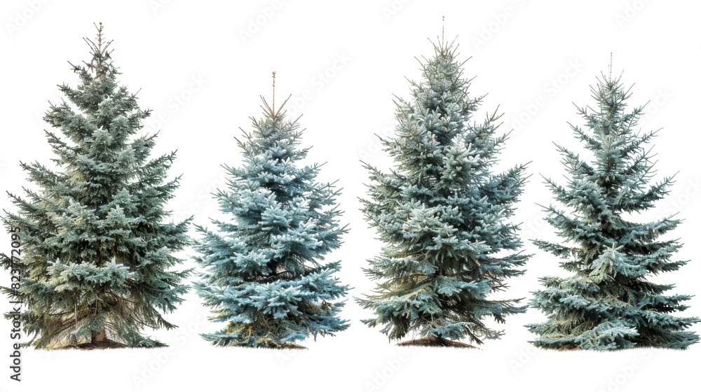 Obraz premium Christmas Tree collage on white background