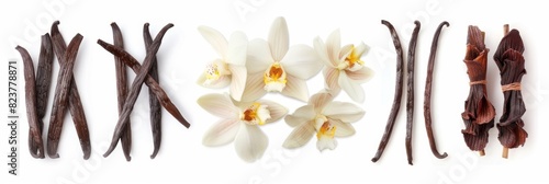 Vanilla pods and flowers set, orchid bean sticks, dry vanillin pods, natural aroma dessert ingredient