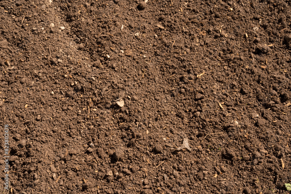 Soil background. Closeup view of fertile land. Soil background. Closeup view of fertile land.