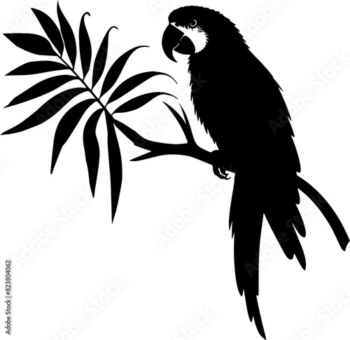 Silhouette of macaw bird, parrot bird on branch