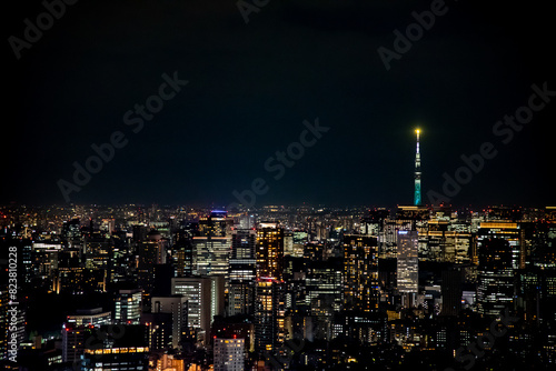Canvas Print Tokyo skyline at night