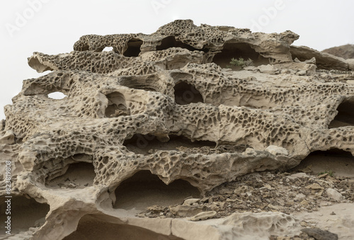 Slika na platnu Intricate Honeycomb Weathering on Sandstone Rocks