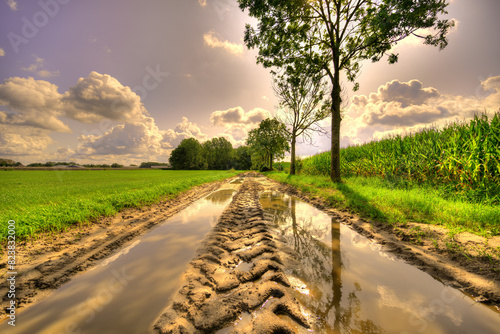 Puddles of water on a country road in a rustic landscape in The Netherlands. photo