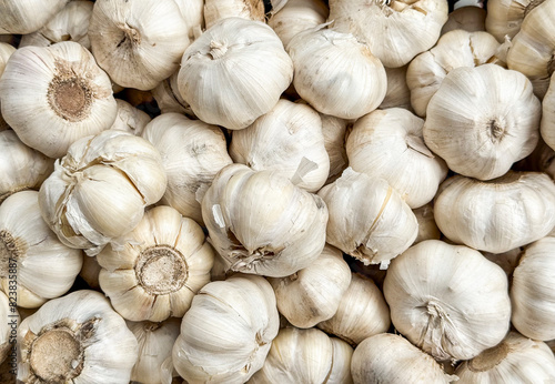 A pile or garlic bulbs photo