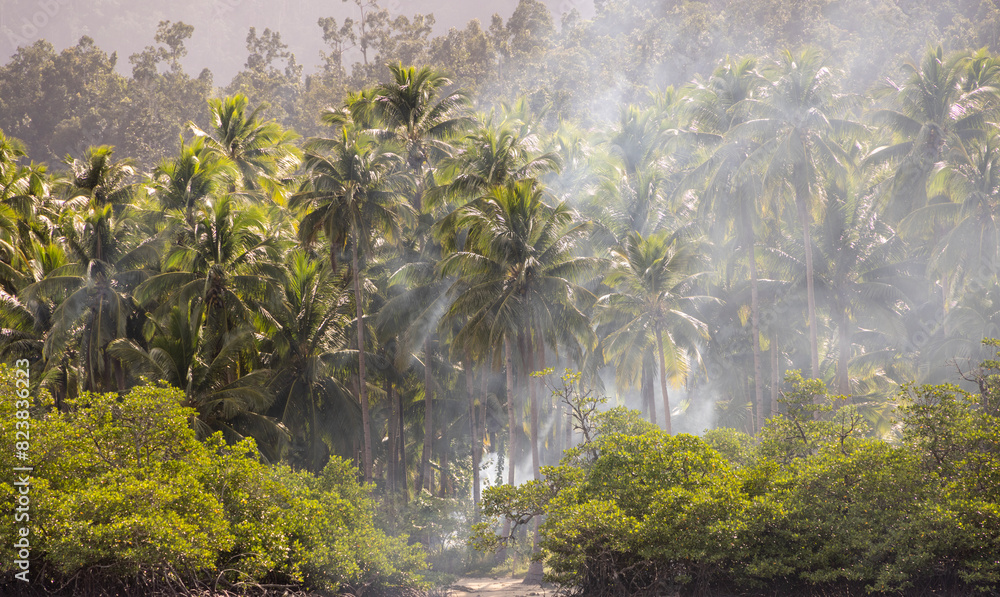 Palm trees in the smoke. Palm trees in the smoke.