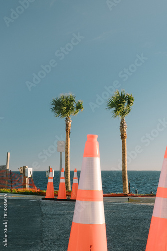 Palm Trees and Road Work Construction Cones on Sunny Florida Street photo