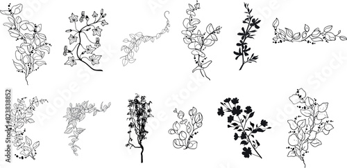 silhouette vines tropical plant drawing, Side view