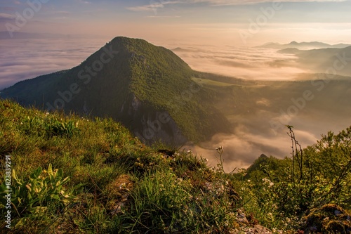 Slovakia forest summer panorama landscape with mountain at sunrise. Manin at summer time, Slovakia mountain, region Povazie. View from Velky Manin to Maly Manin at sunrise. photo