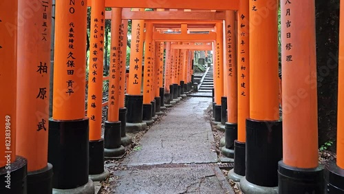 Walking through  the Torii Gates path at Fushimi Inari-Taisha Shrine, in Kyoto. First person view photo