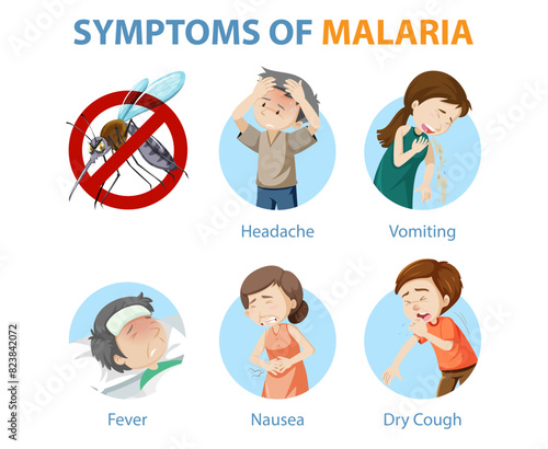 Free vector malaria transmission cycle and symptom information infographic