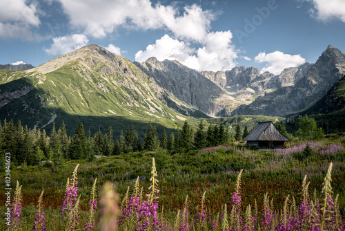 tatra mountains