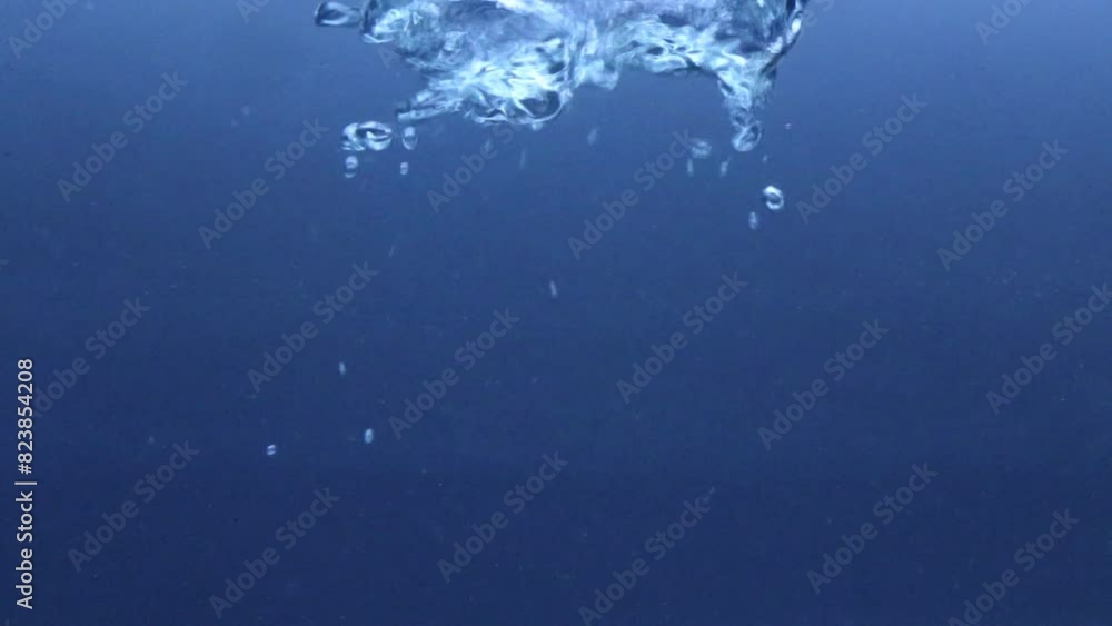 bubbles in water, video bubbles in water, video