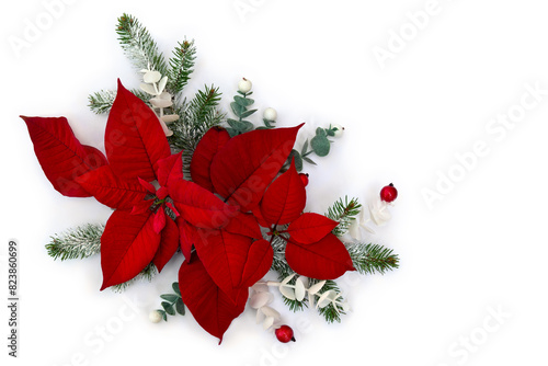 Christmas decoration. Flowers of red poinsettia, branch christmas tree, berries mistletoe, red berries on a white background with space for text. Top view, flat lay