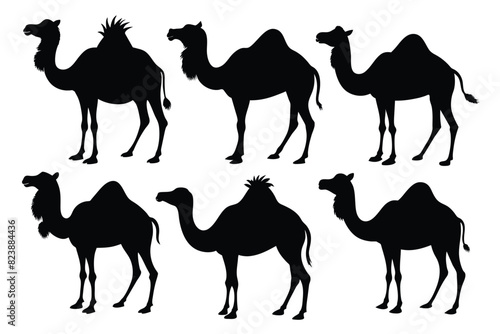 Set of bactrian Camel black silhouette vector on white background