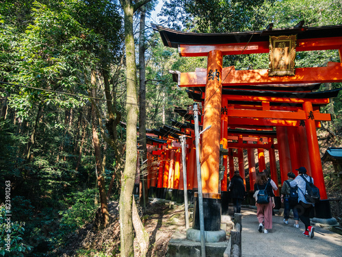 Group of people walking along the orange torii gates of fushimi Inari photo