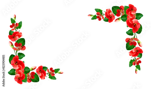 Rose, Flower, Vector, Decoration, Decorative, corner Frame, png