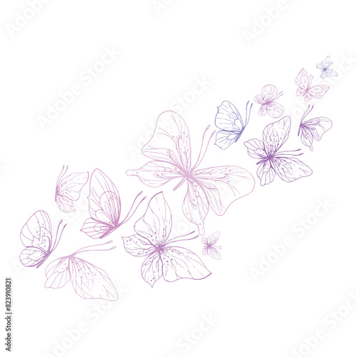 Butterflies are pink  blue  lilac  flying  delicate line art. Graphic illustration hand drawn in pink  lilac ink. Composition stream  template EPS vector