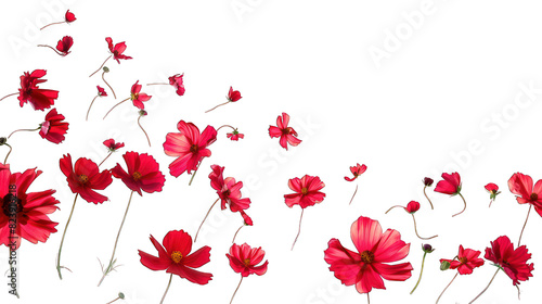 Background with floating spring flowers isolated on transparent background