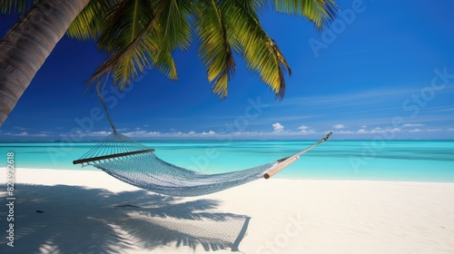 beach with palm trees