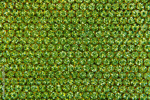 Close up of the rhinestone green background