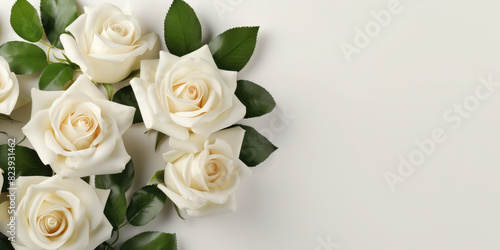 Greeting background with freshly white roses flowers on a white background . Festive banner for birthday, mother's day, March 8, anniversary. Flat lay, top view. Copy space. Mock up.