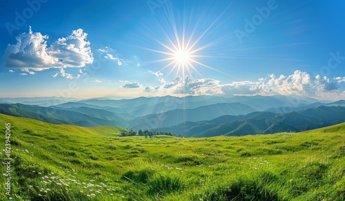 Beautiful summer landscape with green meadow and mountains in the background under blue sky with sun rays  panorama view