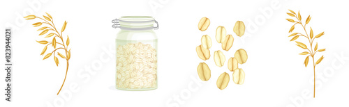 Oatmeal as Whole-grain Food and Cereal Vector Set