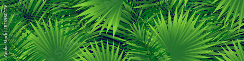 Amazon tropical leaves vector banner. Rainforest foliage template background. Jungle plants wallpaper. Green backdrop with close up tropic palm leaf and monstera. Summer and spring beautiful design