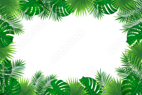 tropical rainforest border frame. Amazon foliage vector background with exotic tropic leaves, jungle plants and grass. Summer, travelling vacation card for textile print, invitation and promo designs.